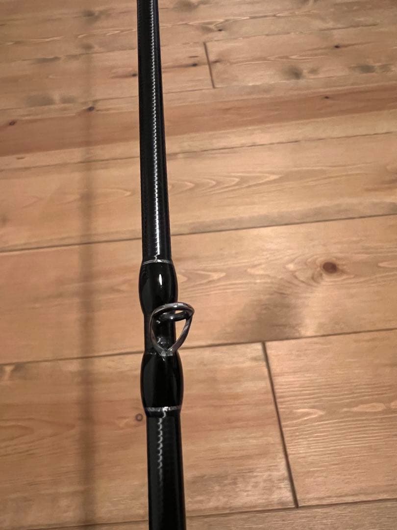 フィッシュマン ブリストマリノ9.9H