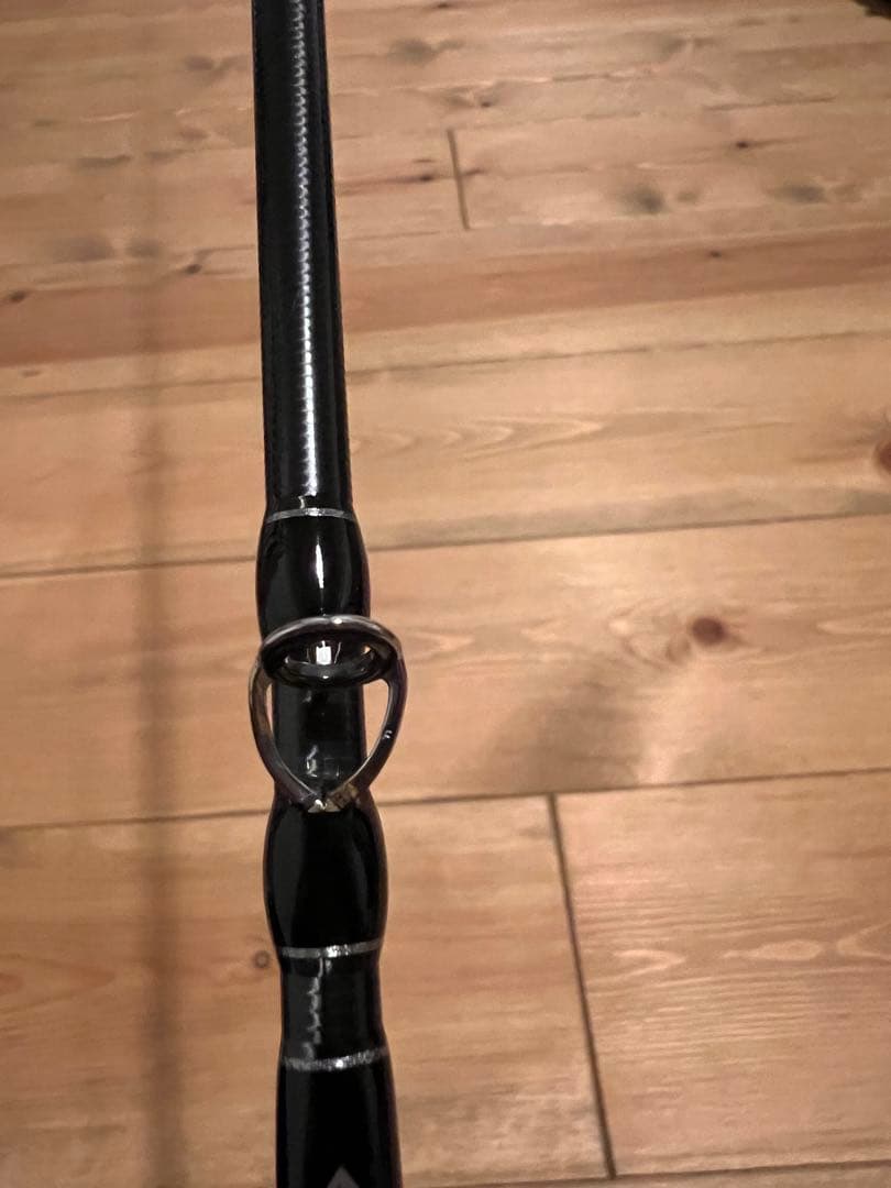 フィッシュマン ブリストマリノ9.9H