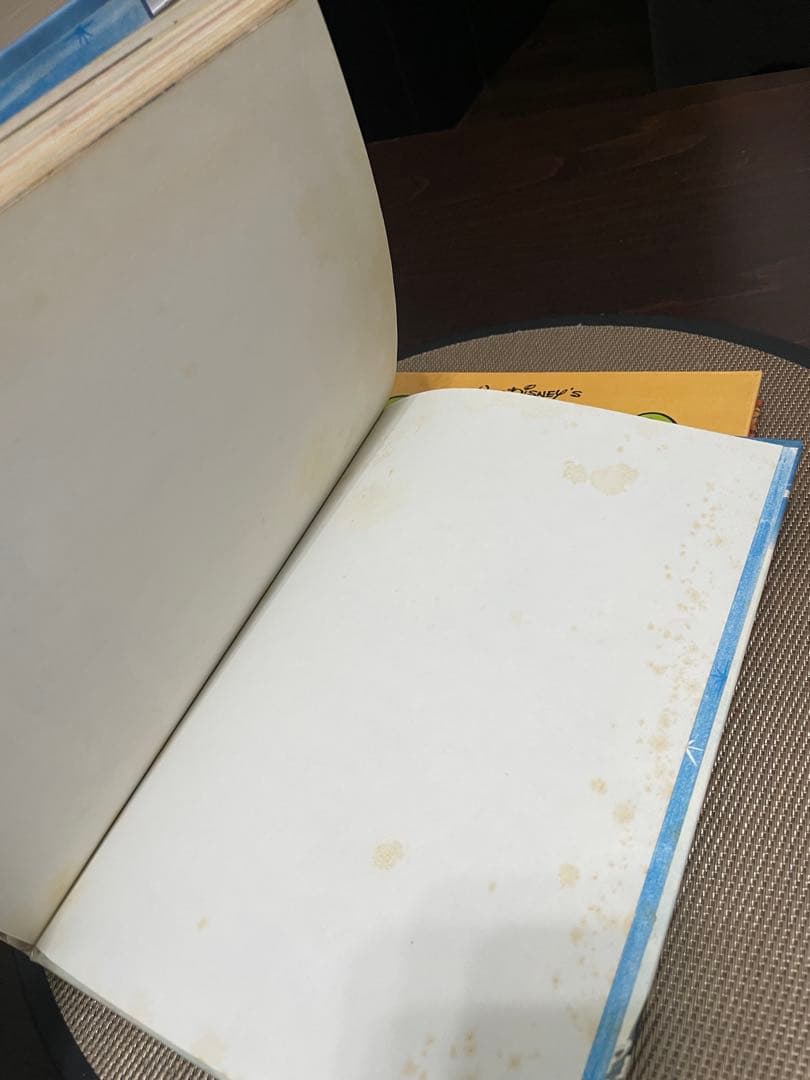 希少1978年　Walt Disney’s Story