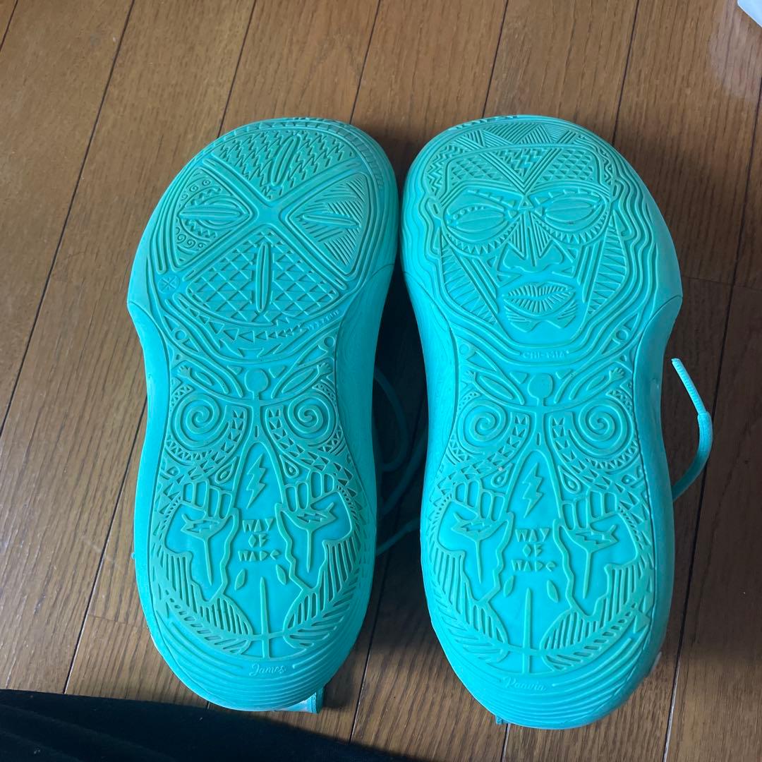 p*k様 ウェイドバッシュ