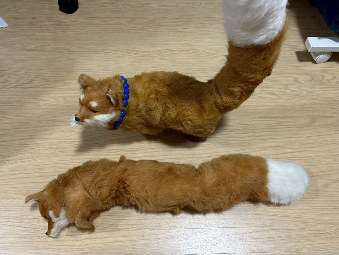 鳴狐 コスプレ Lサイズ 正装 内番 お供の狐