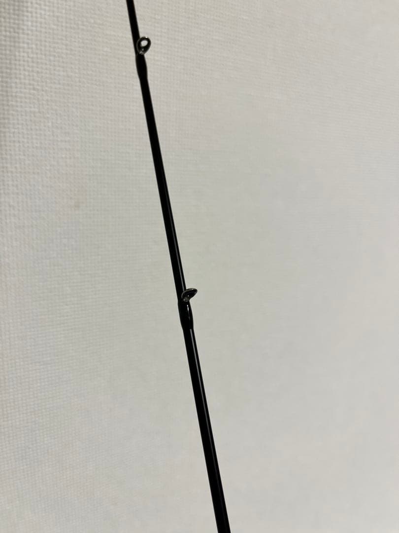 エバーグリーン カレイド セルペンティ インクレディブルセンサー・ガルネリウス