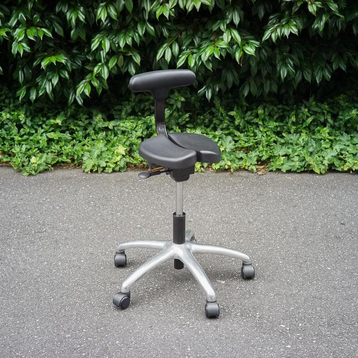 ayur chair アーユルチェア 姿勢矯正 キャスター プレミアムモデル01