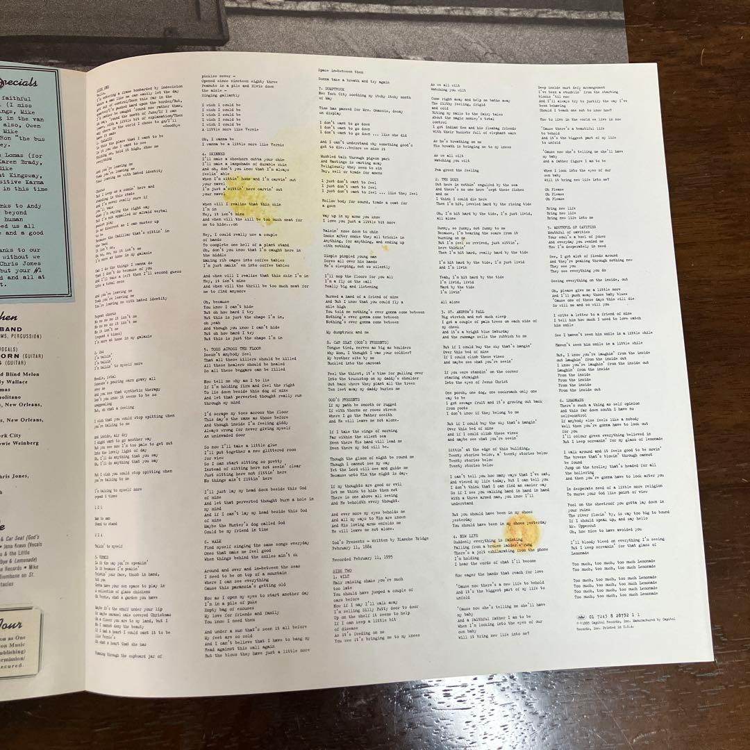 洋楽 SOUP BLIND MELON