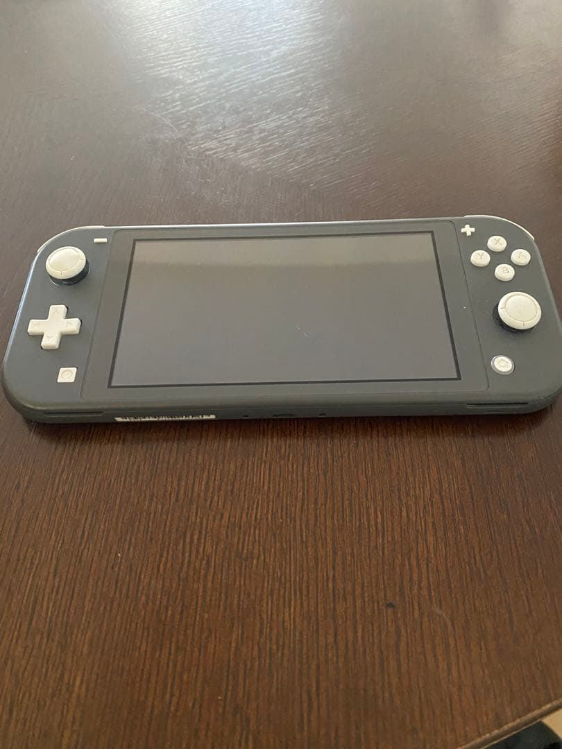 Nintendo Switch Lite グレー 2019