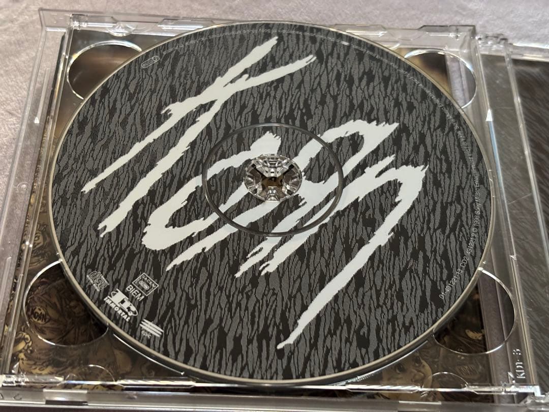 レア　Korn サイン　限定CD コーン Follow the Leader