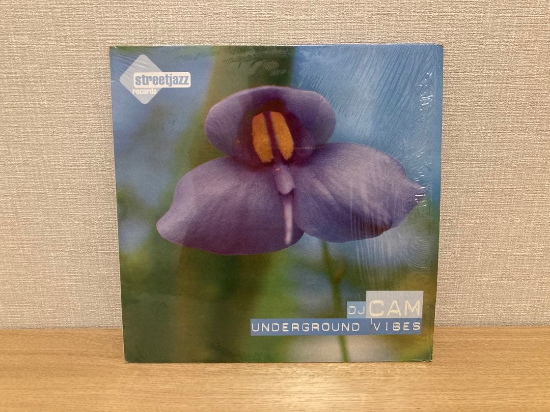 レコード DJ CAM / UNDERGROUND VIBES