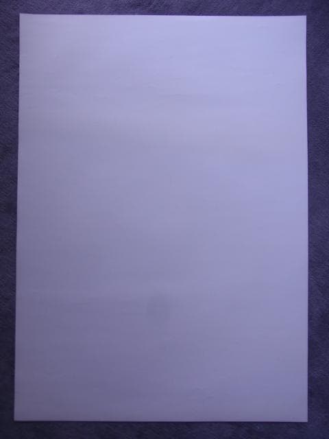 未使用品　非売品　ポスター　かまいたちの夜　プレイステーション2　店頭用告知