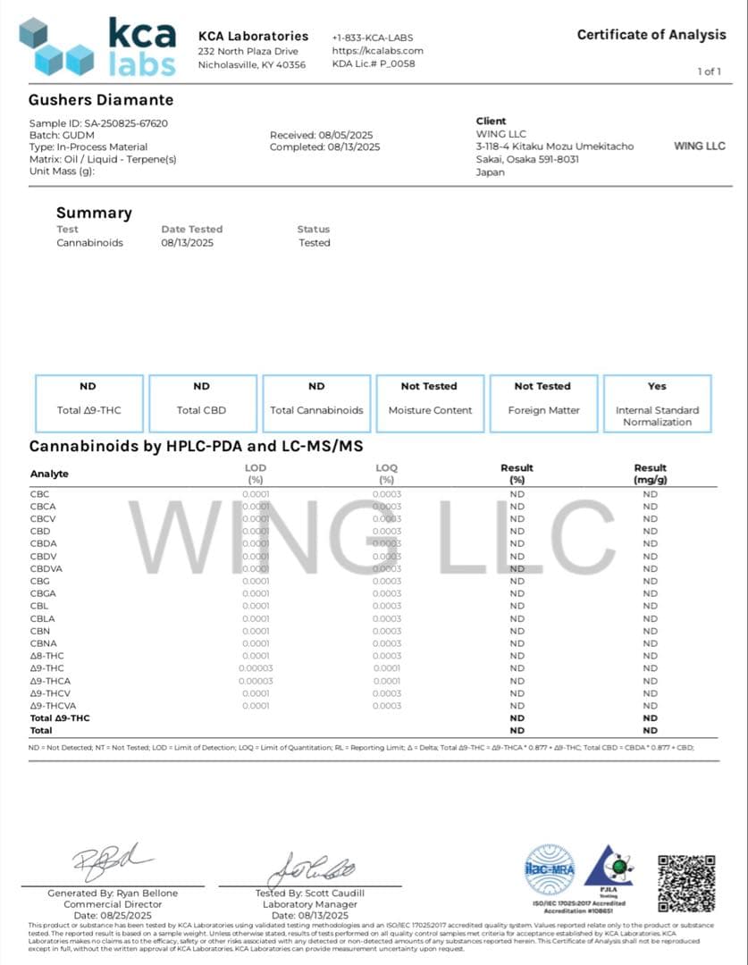 CDT Gusher (カンナビス由来テルペン) 50ml