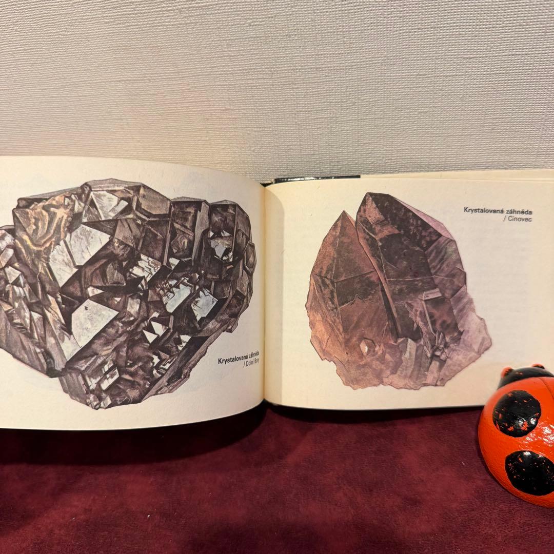 113④チェコビンテージ鉱石図鑑2冊セット　ジャンクジャーナル　ボタンニカル
