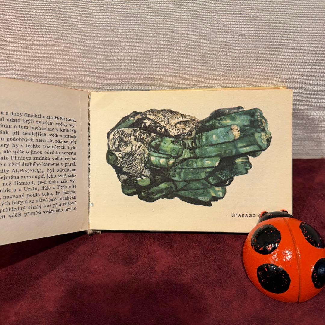 113④チェコビンテージ鉱石図鑑2冊セット　ジャンクジャーナル　ボタンニカル