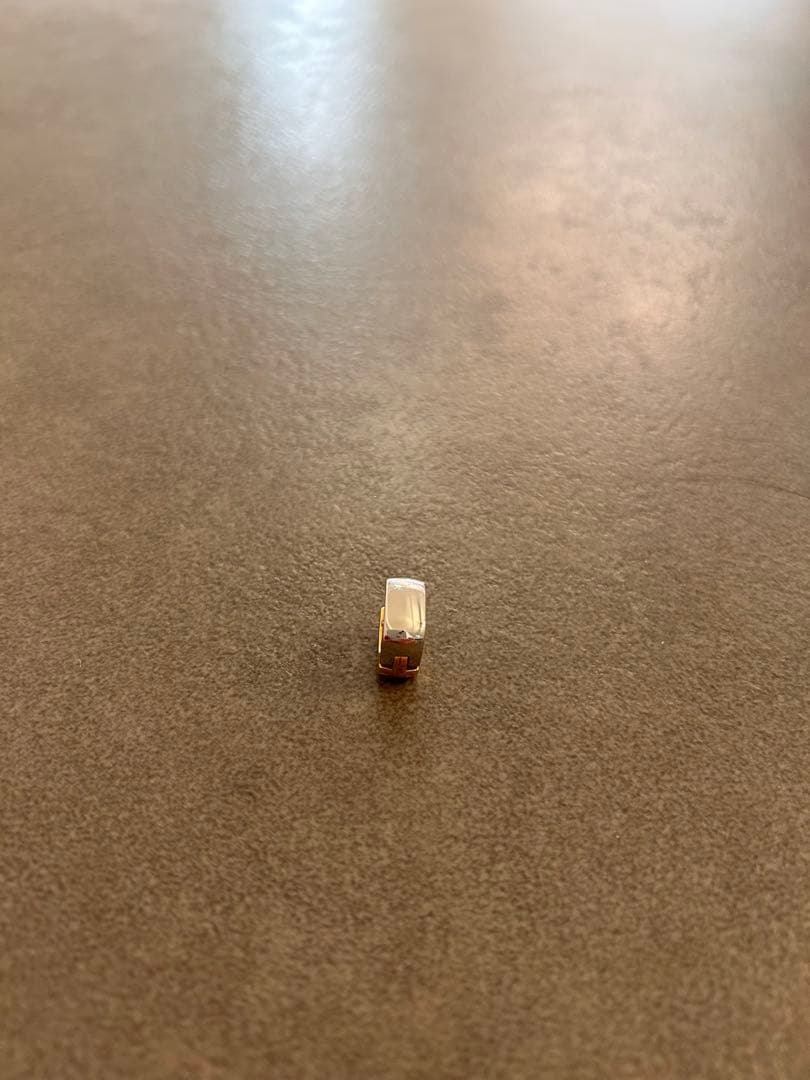 【片耳1個のみ・美品】ルイヴィトン　ブックルドレイユ　ナノグラム　ピアス