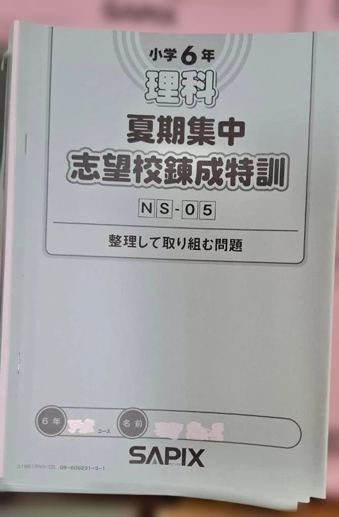 SAPIX 小6 教材セット