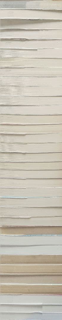 【裁断済み】完結全巻 おまけあり 落第忍者乱太郎 忍たま乱太郎 尼子騒兵衛