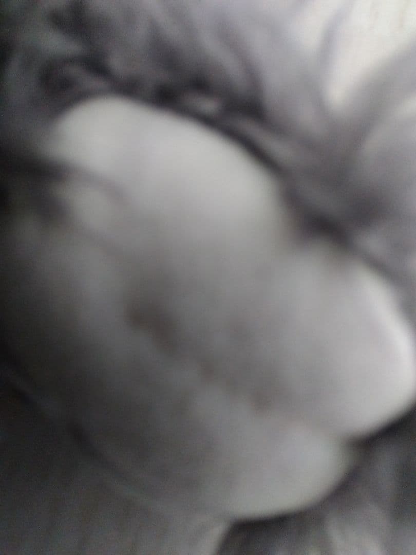 wdwディズニーベア　グレー　ダッフィー