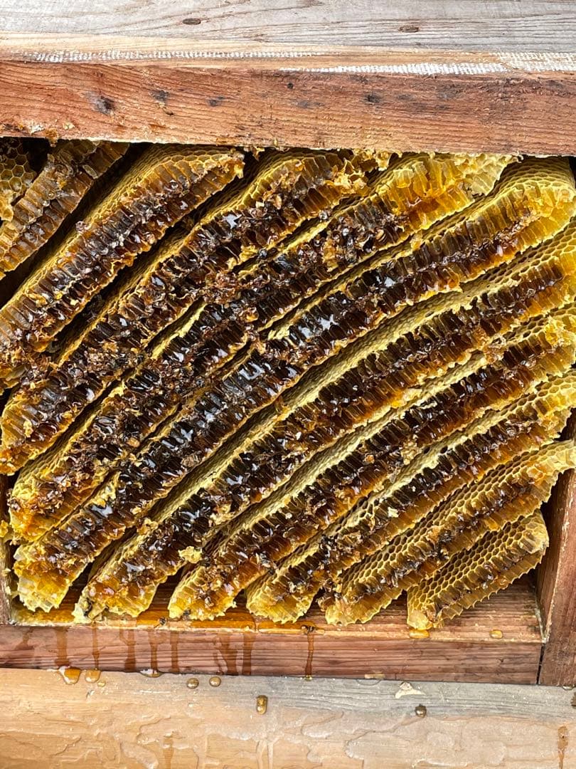 網追加！日本蜜蜂重箱式巣箱ハニーズハウス！ロイヤルセット！送料無料！