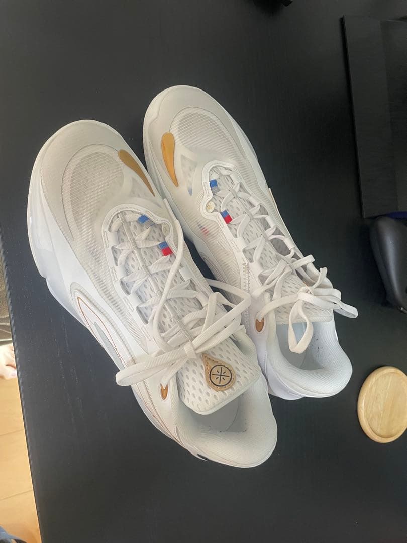 wade 808 5 ultra, バスケットボール