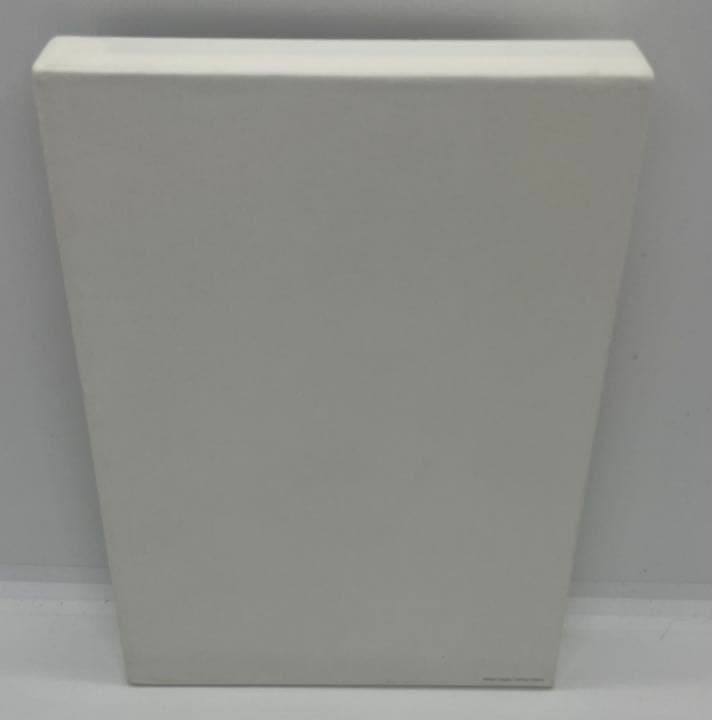 はつ恋 DVD-BOX〈4枚組〉