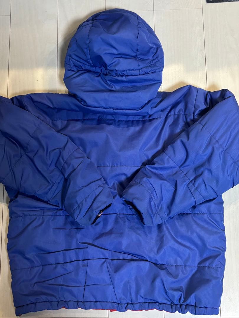 Patagonia パーカー　ブルーリボン