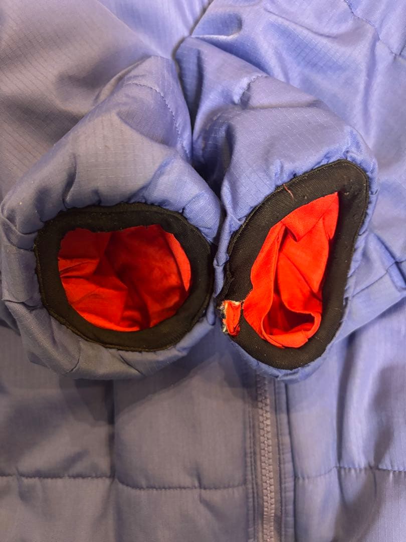 Patagonia パーカー　ブルーリボン