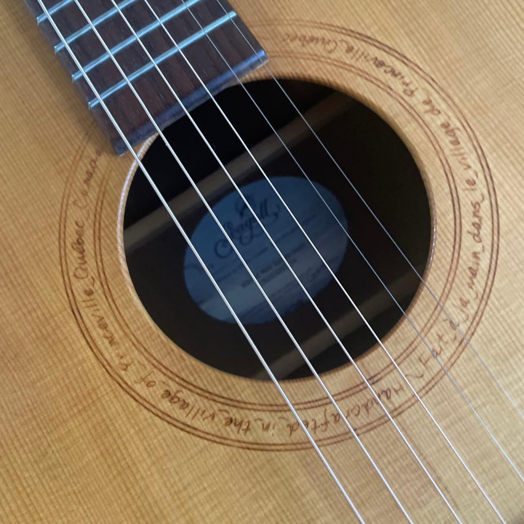 よしさん専用 シーガルのウォールナットミニジャンボ 専用ケース付