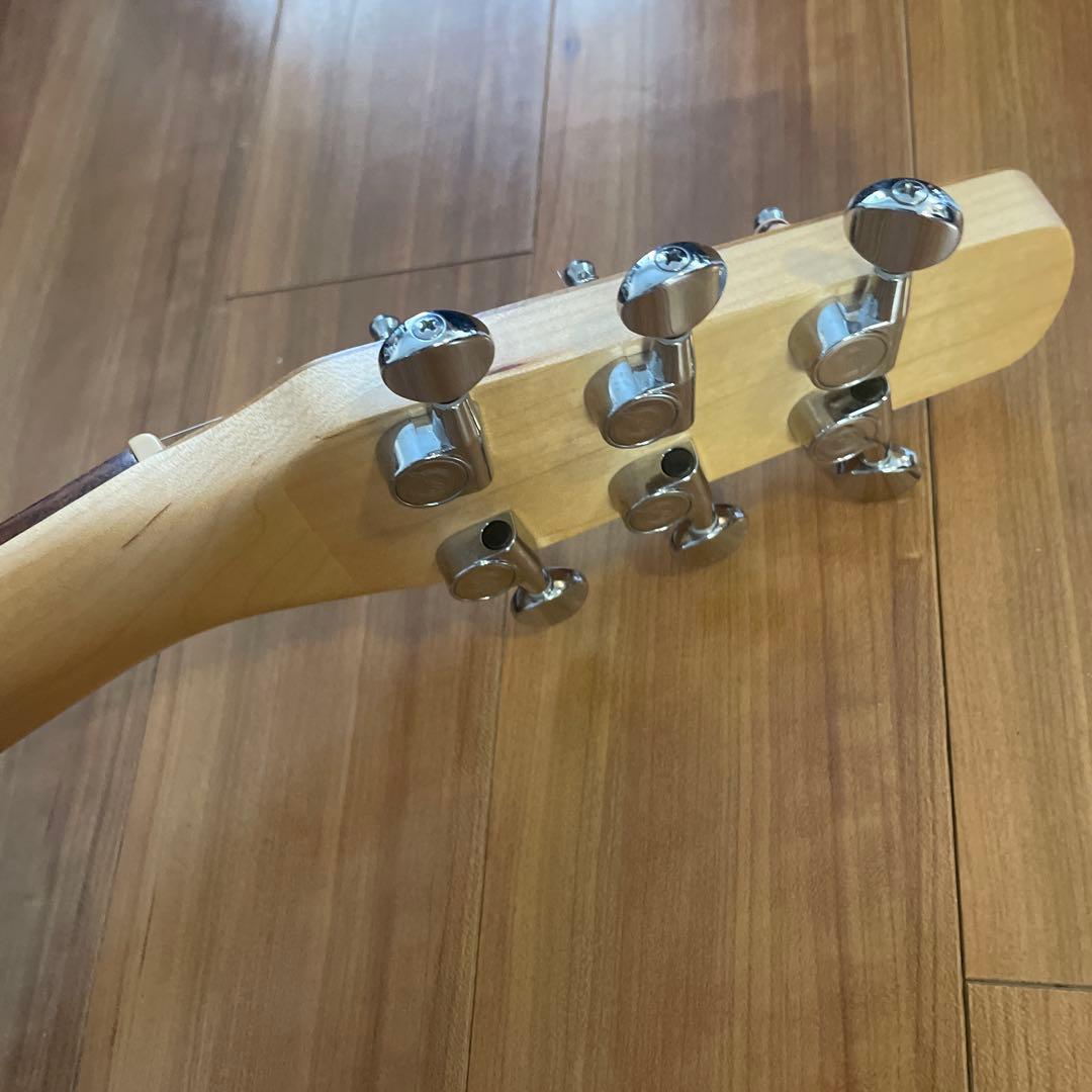 よしさん専用 シーガルのウォールナットミニジャンボ 専用ケース付