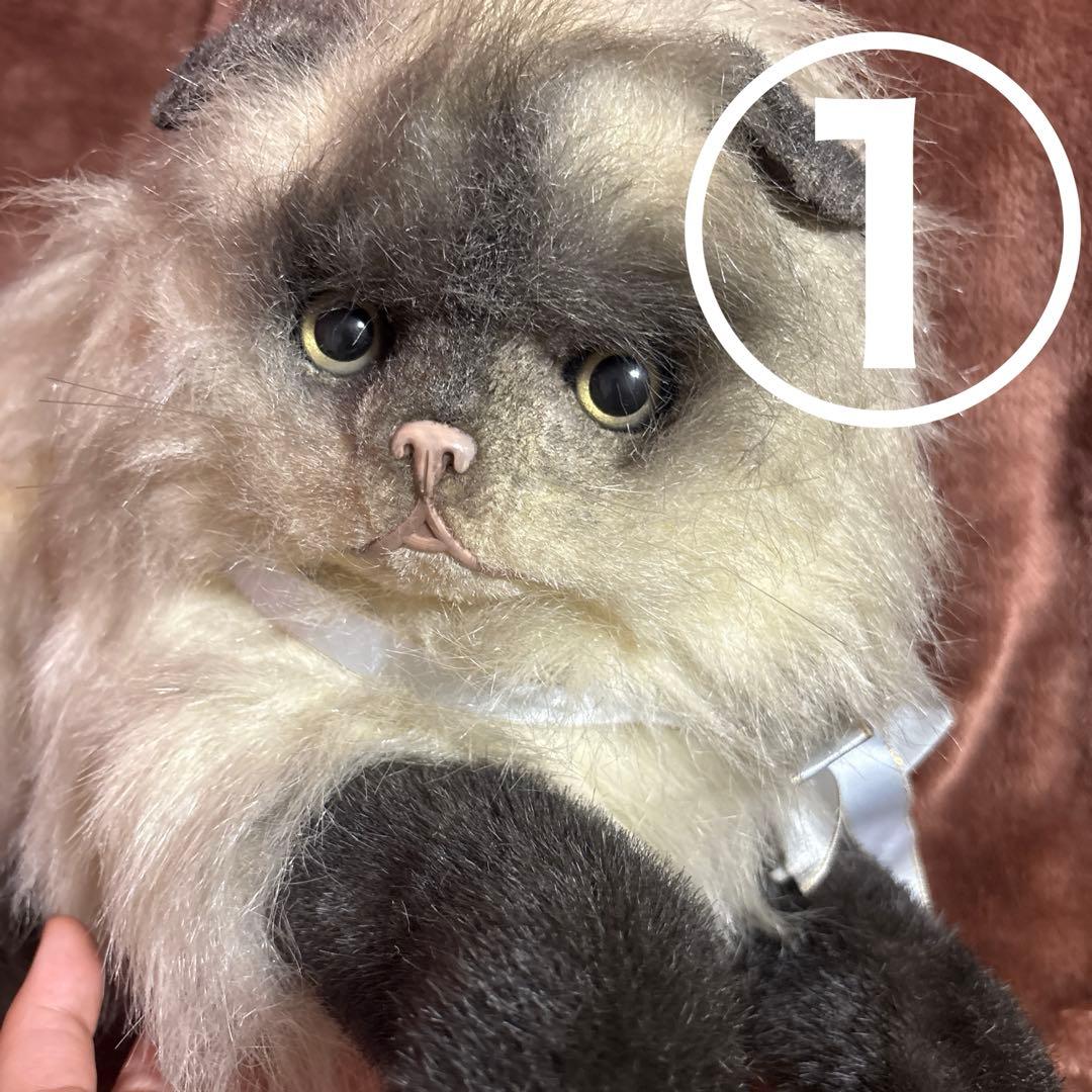 【大量】寝そべりたくさん猫＋αぬいぐるみセット【まとめ売り】