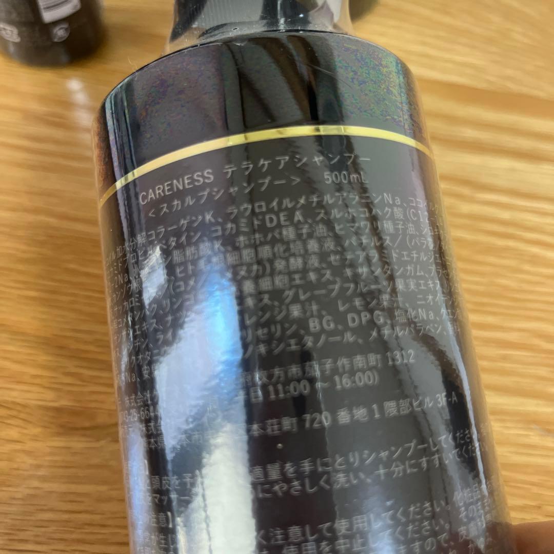 CARENESS テラケアシャンプー・トリートメント・クリームセット