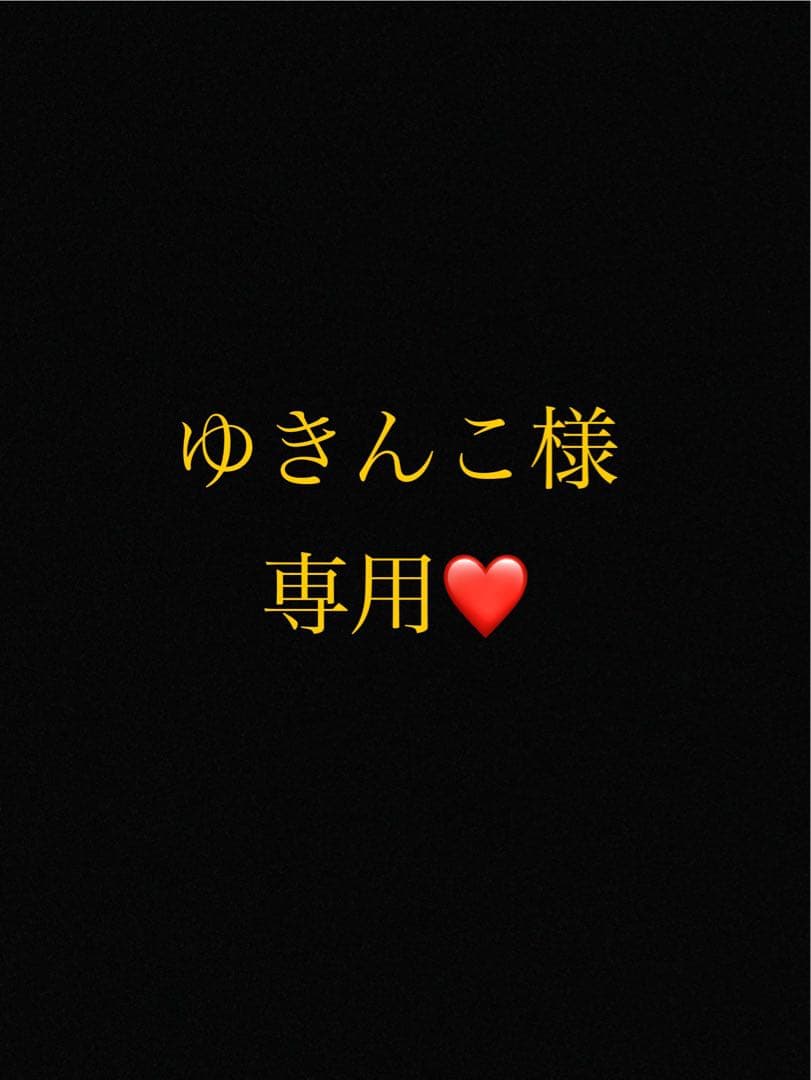 ゆきんこページ