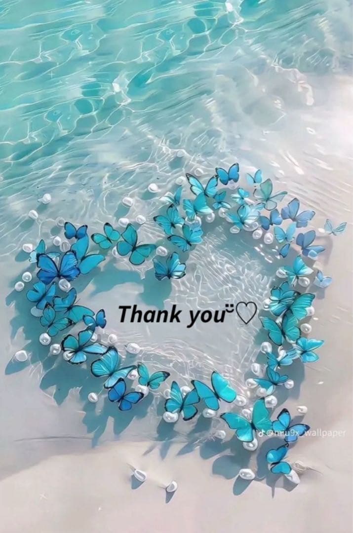 ❤️ momoさま❤️