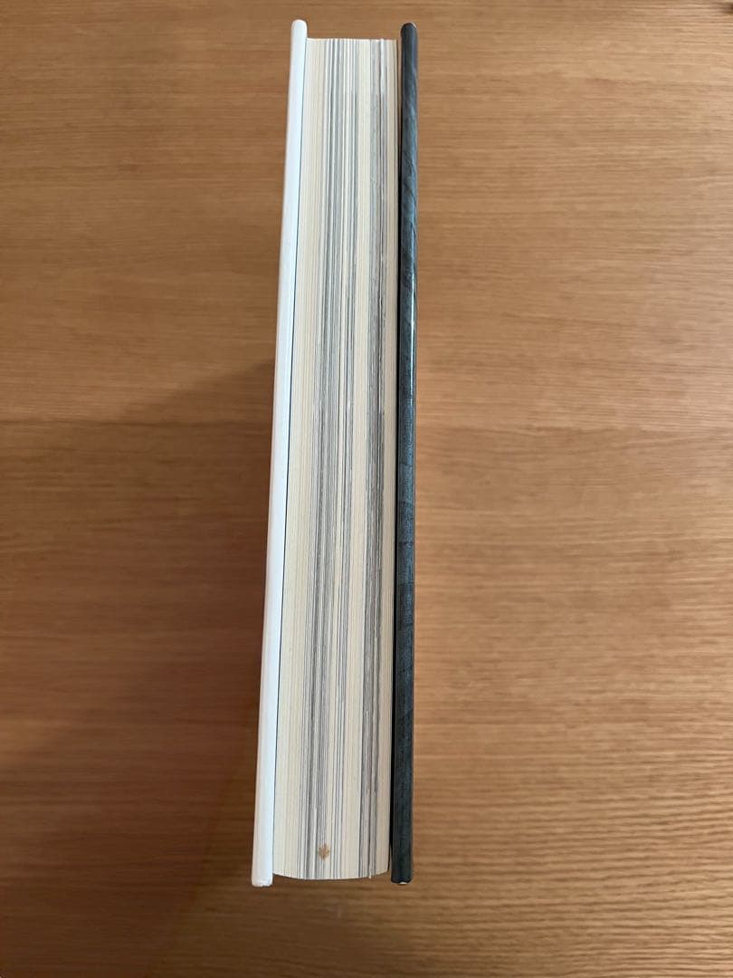 isamu noguchi a sculptor's world 洋書