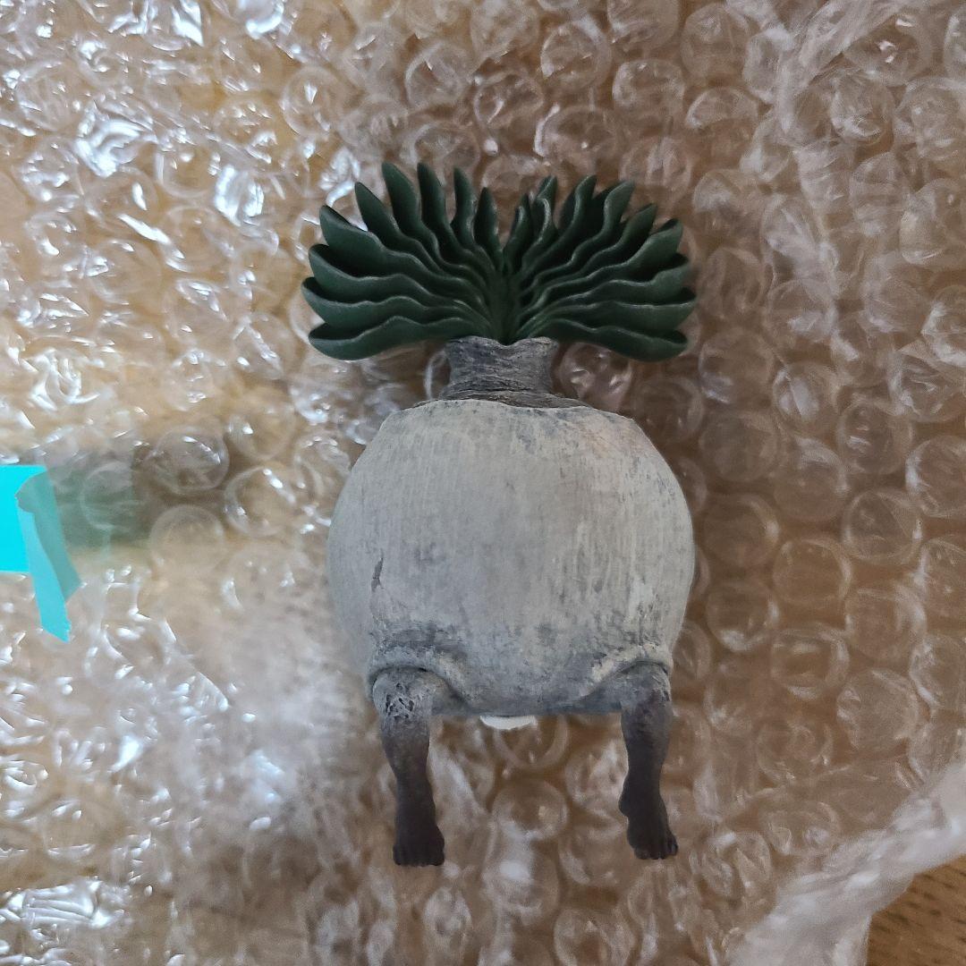 OZWRT TheCaudexMan BoophaneMan SSサイズ