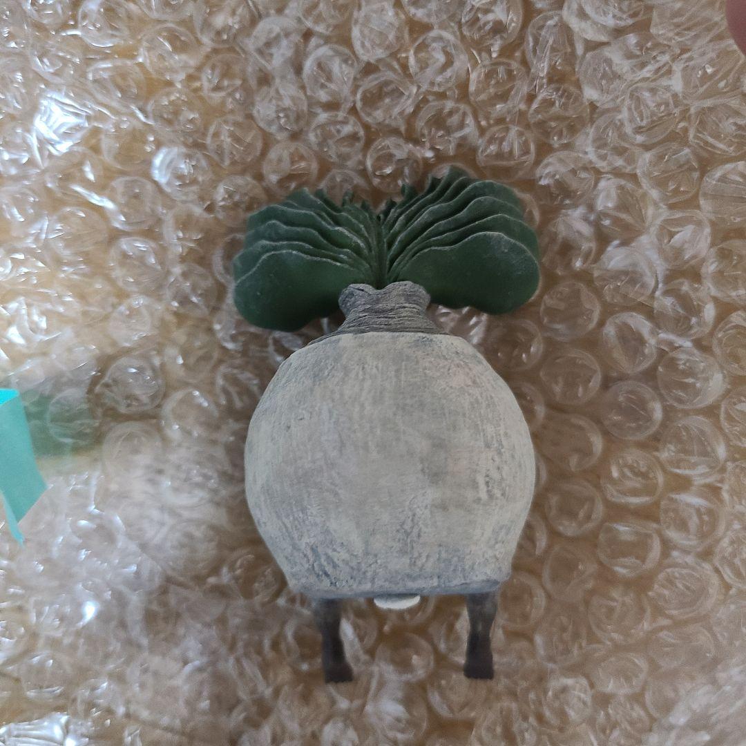 OZWRT TheCaudexMan BoophaneMan SSサイズ