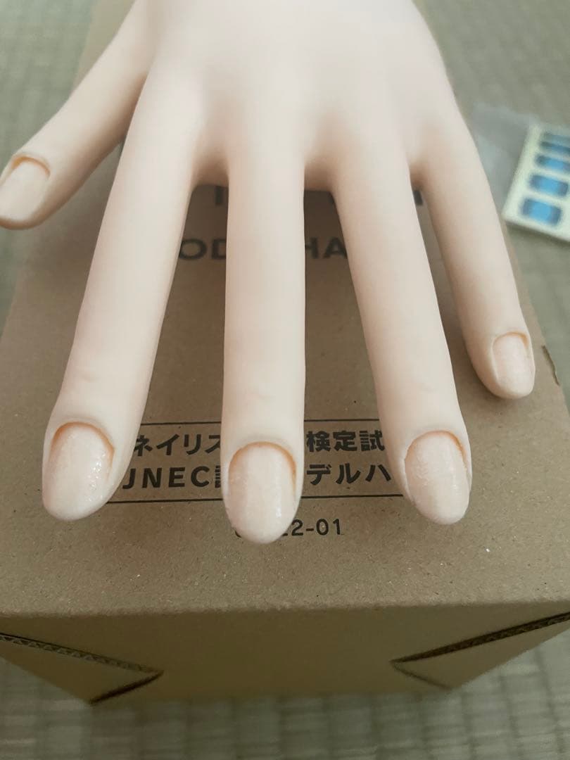認定モデルハンド　ネイリスト検定　チップ・両面テープ・キューティクルシールセット