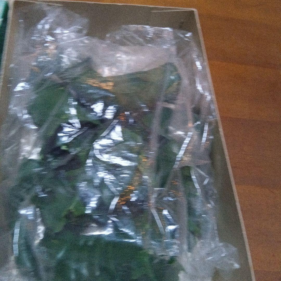 仮面ライダー　アマゾン ソフトビニールキット　東映