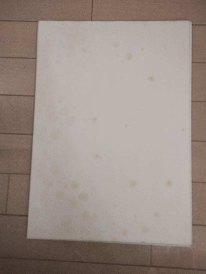 土日限定価格スチューシー20th Anniversary カレンダー★ポスターに