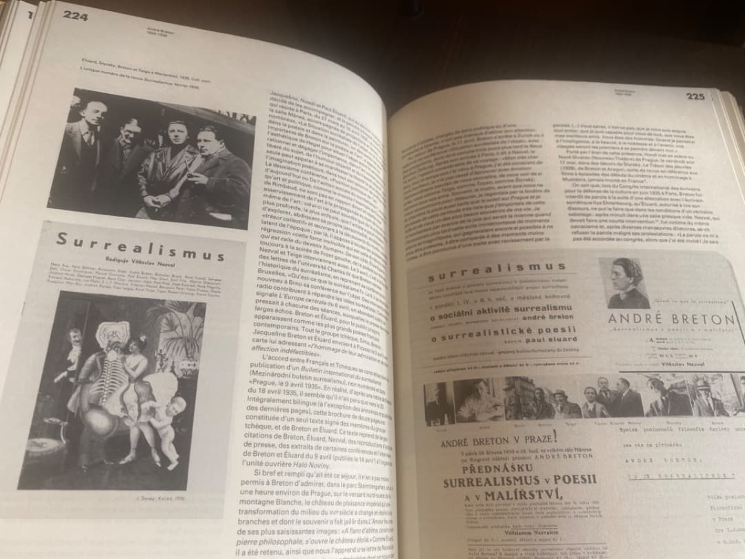 アンドレ・ブルトン回顧展「痙攣的な美」　図録