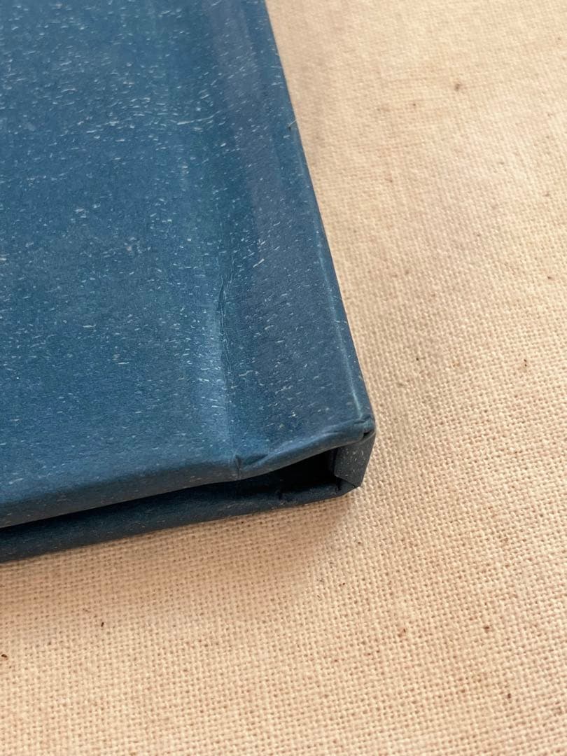 洋書 Instruction Manual No.3 Terri Weifenbach