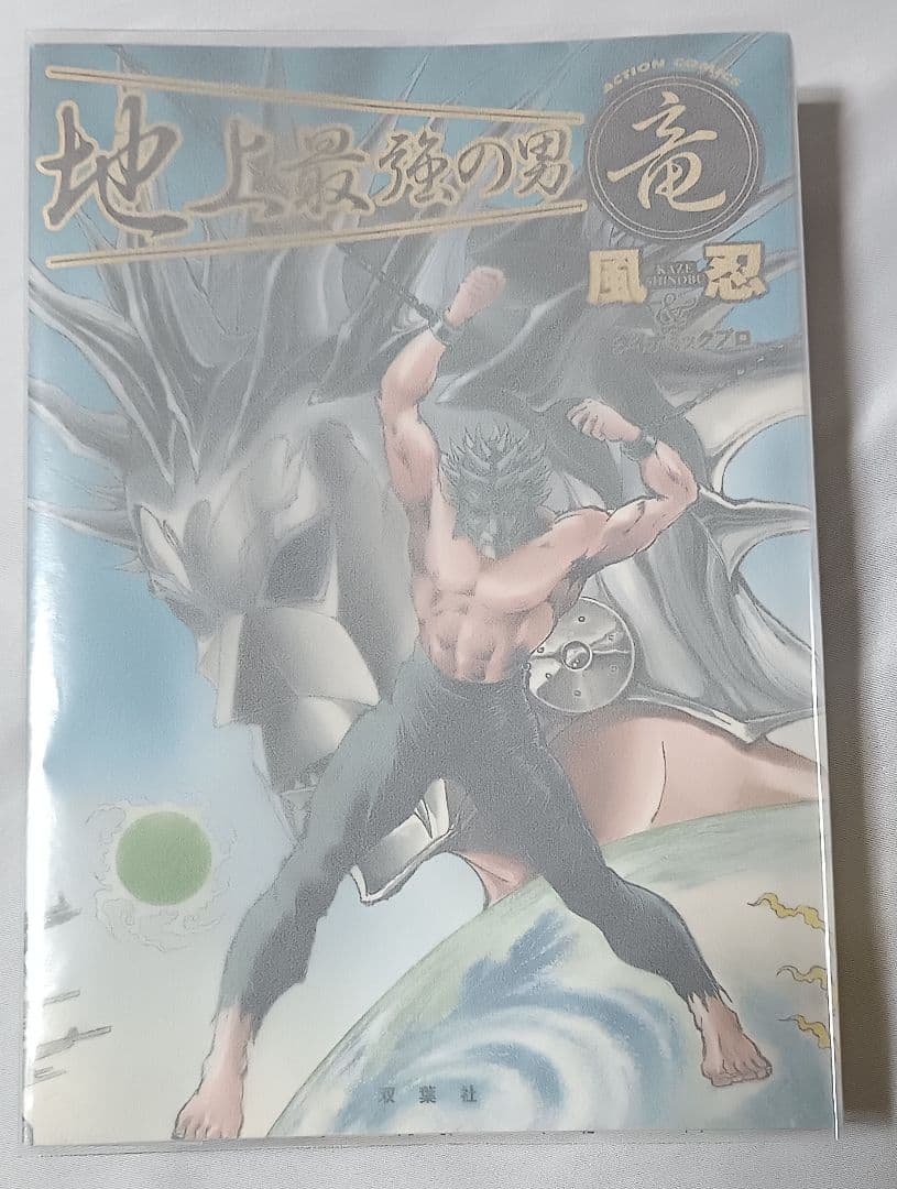 地上最強の男 竜 ＊ 風忍とダイナミックプロ