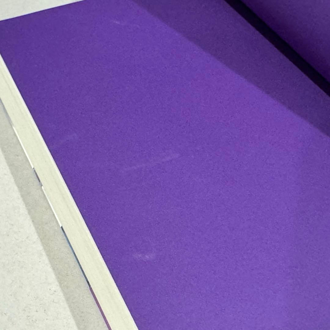 肉包不吃肉 日本語小説 【二哈和他的白猫師尊】