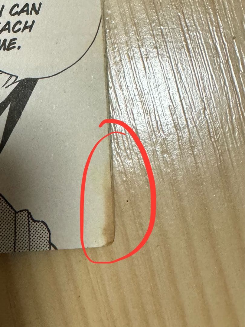 シャーマンキング　英語版　漫画　English Manga