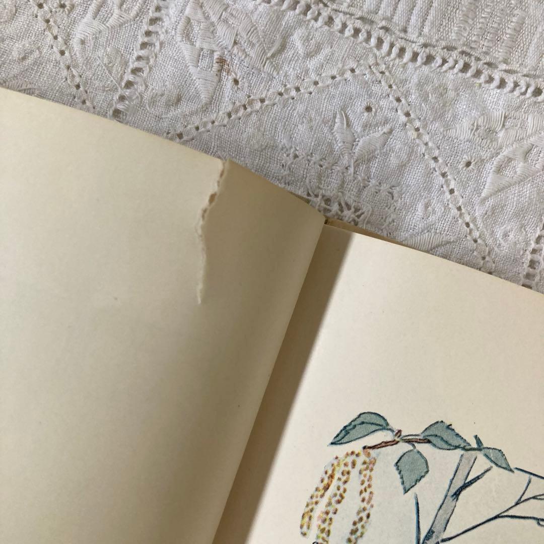 【歳末SALE】L333北欧ヴィンテージ絵本　【超希少】エルサベスコフ　花のうた