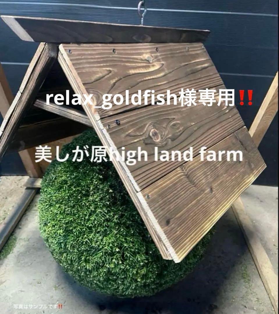 杉玉　約30センチ　ワイヤーで ‼️お客様ご注文品♪