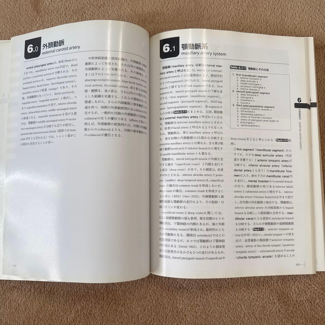 医学書　脳脊髄血管の機能解剖 増補版