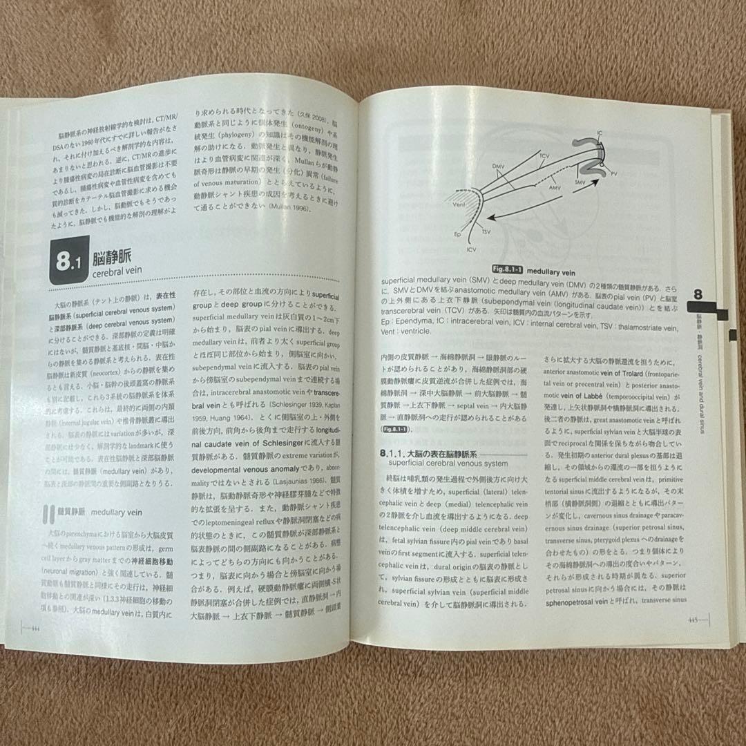 医学書　脳脊髄血管の機能解剖 増補版