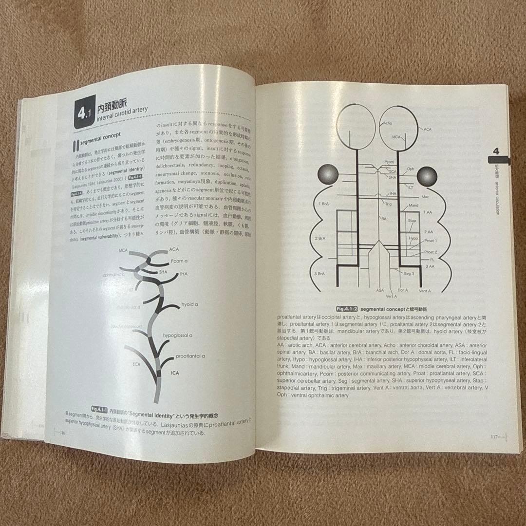 医学書　脳脊髄血管の機能解剖 増補版