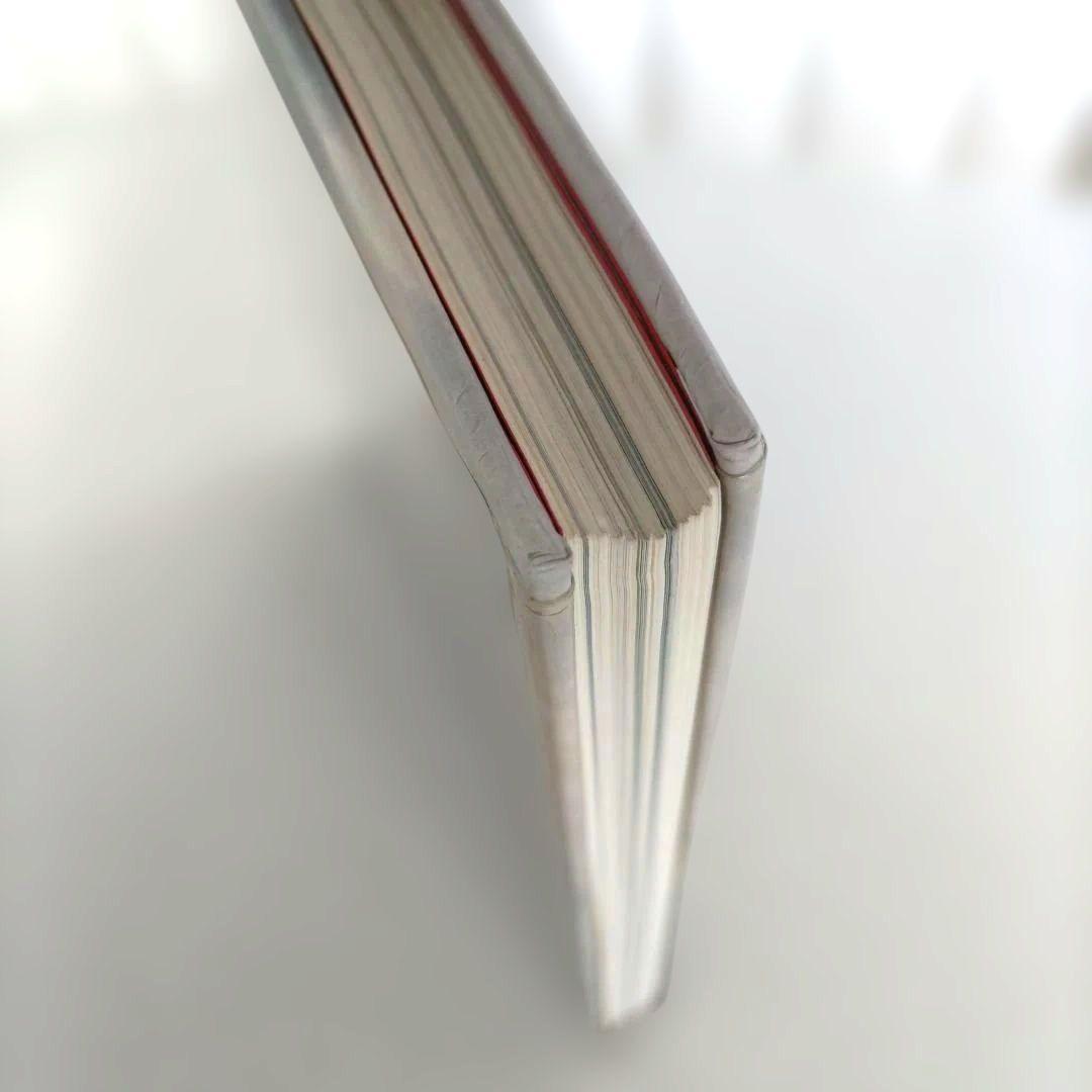 Nadav Kander:Beauty's Nothing/写真集 作品集 洋書