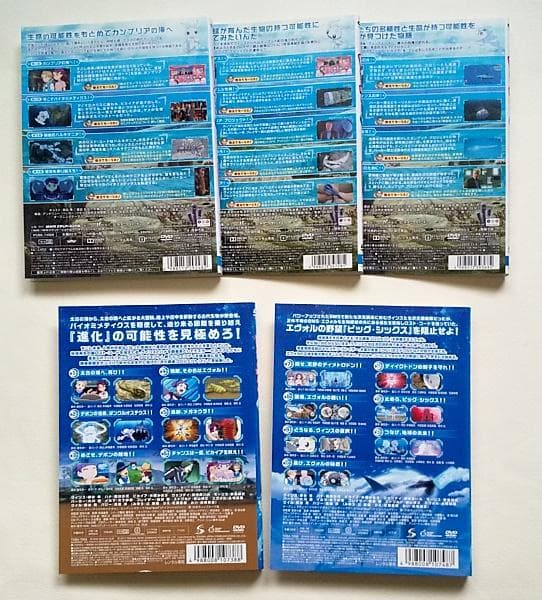 ピカイア!(第1期)全3巻＋(第2期)全2巻 全5巻 レンタル落ちDVD 田谷隼