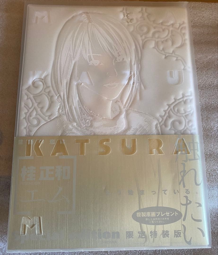 桂正和　M エム限定特装版　M複製原画　抽選プレゼント当選品