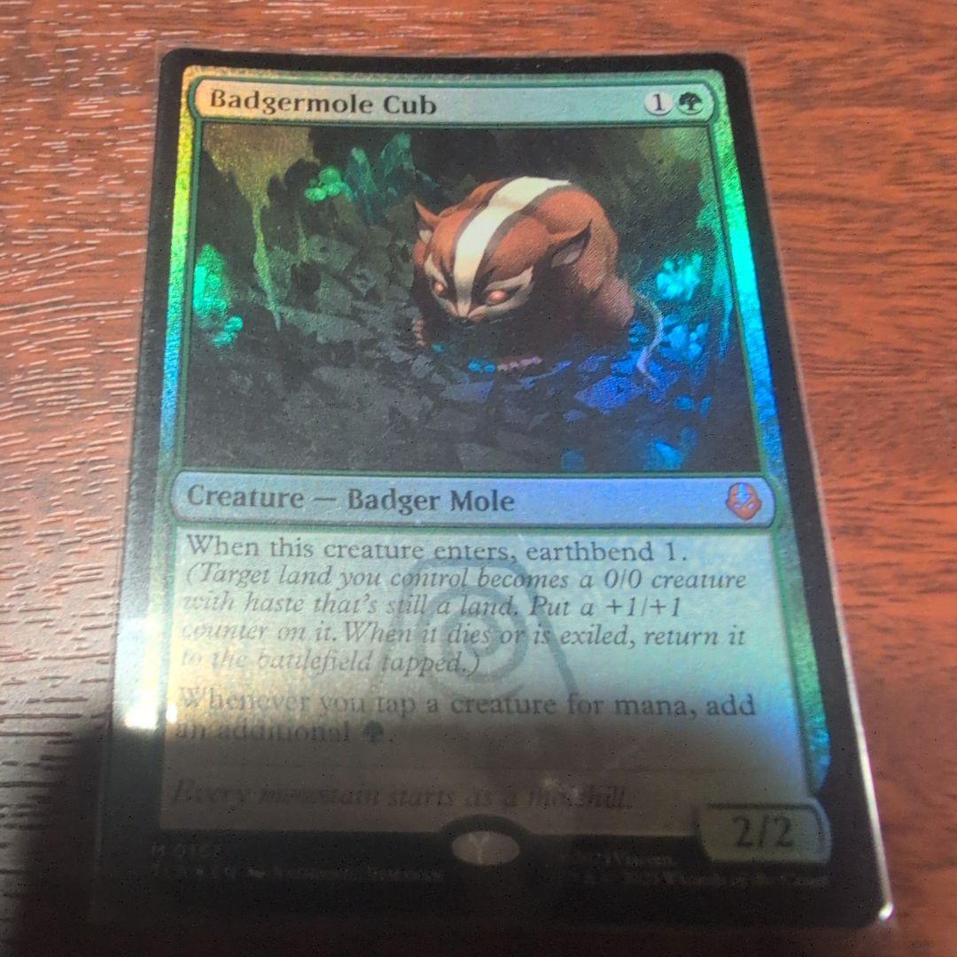 アナグマモグラの仔　英語Foil